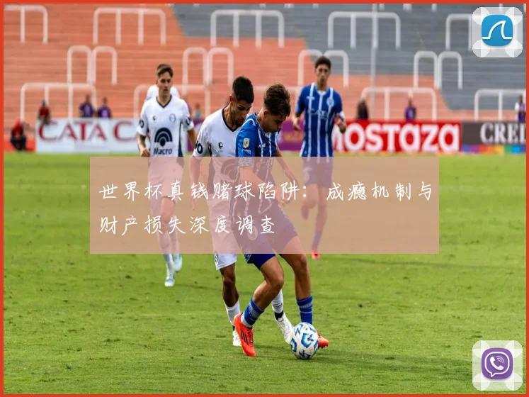 世界杯真钱赌球陷阱：成瘾机制与财产损失深度调查