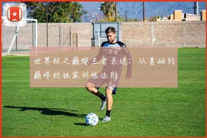 世界杯之巅球王者亲述：从基础到巅峰的独家训练法则