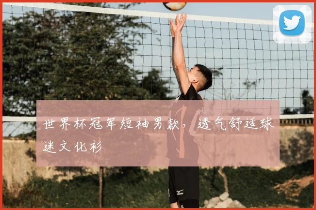 世界杯冠军短袖男款，透气舒适球迷文化衫