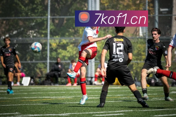 乐鱼app登录入口官网APP 封面图